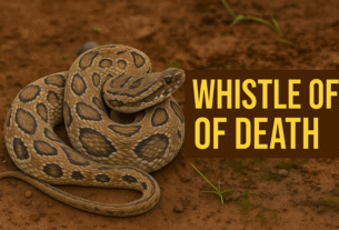 Whistle of Death
